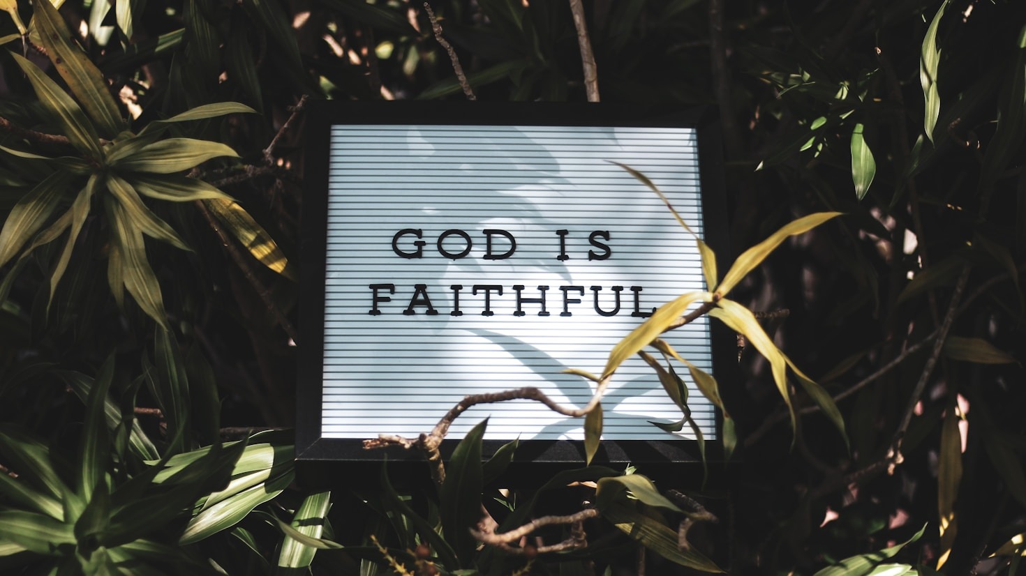 How WOWLife South Region Brings Faith Closer